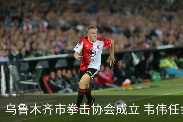 乌鲁木齐市拳击协会成立 韦伟任会长